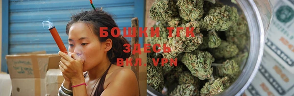 spice Аркадак