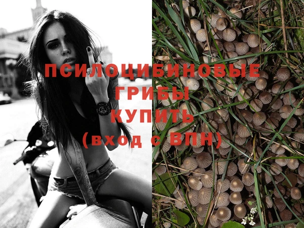 mdpv Арсеньев
