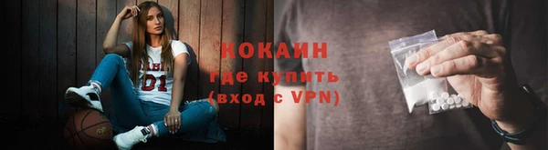 spice Аркадак