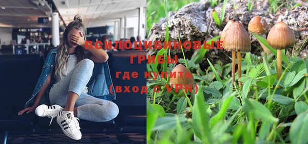 спиды Губаха