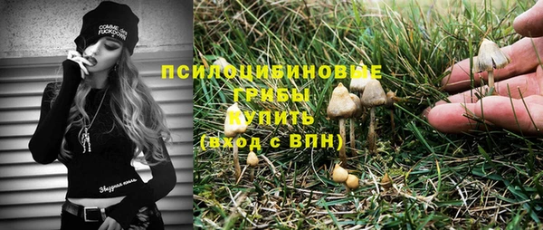 spice Аркадак