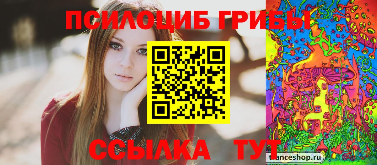 Псилоцибиновые грибы GOLDEN TEACHER Изобильный
