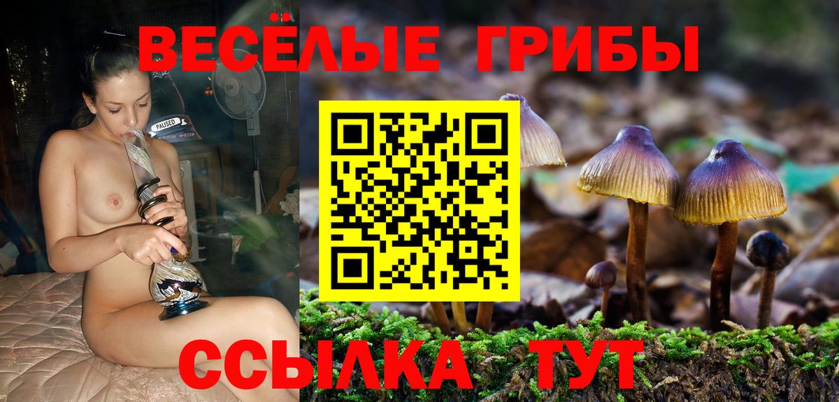 Изобильный  Псилоцибиновые грибы Magic Shrooms  Вход с VPN 